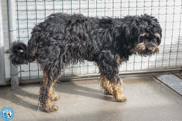 Teo: il riscatto di un piccolo guerriero Foto 7